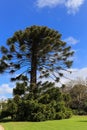 Werribee park in melbourne,australia