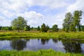 Weseler Heide nature reserve. Royalty Free Stock Photo