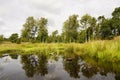 Weseler Heide nature reserve. Royalty Free Stock Photo