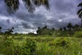 West Africa Republic of Guinea in view of jungle Royalty Free Stock Photo