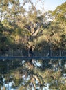 West Australian Lined Dam