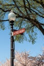 West Basin Drive around Tidal Basin during cherry blossom Royalty Free Stock Photo