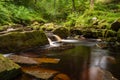 West Beck at Mallyan Spout Royalty Free Stock Photo