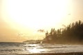 A west coast sunset near Tsusiat Falls on the West Coast Trail, Vancouver Island, Canada Royalty Free Stock Photo