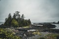 West coast Vancouver Island near Ucluelet British Columbia Canada on the Wild Pacific Trail Royalty Free Stock Photo