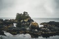 West coast Vancouver Island near Ucluelet British Columbia Canada on the Wild Pacific Trail Royalty Free Stock Photo