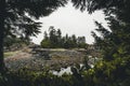 West coast Vancouver Island near Ucluelet British Columbia Canada on the Wild Pacific Trail Royalty Free Stock Photo