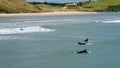 Surfers ride the waves in Clonakilty on a summer day. Water sports in Ireland, landscape. The