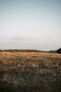 The West dunes of Ouddorp, The Netherlands