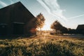 The West dunes of Ouddorp, The Netherlands