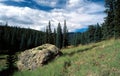 West Fork Trail, Mount Baldy Wilderness,White Mountains, Arizona
