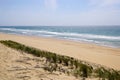 West french atlantic coast in le porge beach with sea sandy horizon view from France Royalty Free Stock Photo