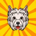 West Highland Terrier head. Dog portrait. Vector illustration.