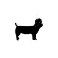 West Highland Terrier icon. Popular Breed of dogs element icon. Premium quality graphic design icon. Dog Signs and symbols collect