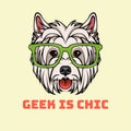 West Highland Terrier. Smart glasses. Dog geek. Vector.