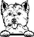 West Highland Terrier, Westie - Funny Dog, Vector File, Cut Stencil for Tshirt