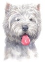 Water colour painting portrait of White Terrier 125