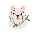 West Highland White Terrier, cute dog avatar. Puppy head of Westie breed. Amusing canine face portrait, doggy muzzle