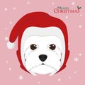 West Highland White Terrier dog with red Santa`s hat