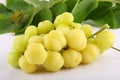 West India gooseberry-