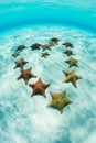 West Indian Starfish in Shape of Heart on Caribbean Sand Flat