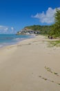 West Indies, Caribbean, Antigua, Darkwood Beach Royalty Free Stock Photo