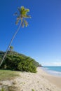 West Indies, Caribbean, Antigua, Darkwood Beach Royalty Free Stock Photo