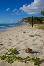 West Indies, Caribbean, Antigua, Darkwood Beach Royalty Free Stock Photo