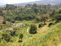 West Java Landscape 6