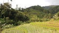 West Java Landscape 9