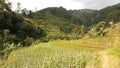 West Java Landscape 14