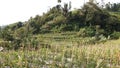 West Java Landscape 15