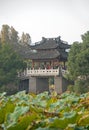 West Lake Xi Hu in Hangzhou in Zhejiang Province, China. Yudai Bridge with lilies and trees.