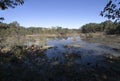 West Monroe,Louisiana ; U.S.A. Oct.26, 2022 Restoration Park was a former strip mine converted into a wetland habitat with an