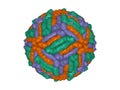 The West Nile virus capsid isolated