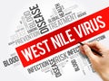 West Nile Virus word cloud collage