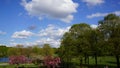 West park munich sunset daytime spring tree sky