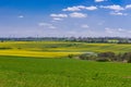 Fields in Poland Royalty Free Stock Photo