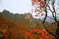 West Taishan, Ruyang