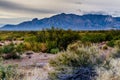 West Texas Landscape of Desert Area with Hills.