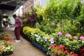 West 28th Street, New York, USA - 8 May 2021: Flower district in Midtown Manhattan - street flower market. Focus on flowers. Small