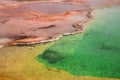 West Thumb Geyser Basin Copper,Green and Yellow, Yellostone National Park, Wyoming