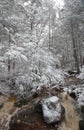 West Virginia river with snow and ice Royalty Free Stock Photo