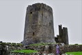 West wales castle henry the 8th