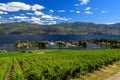 Westbank West Kelowna Okanagan Lake Vineyard Royalty Free Stock Photo