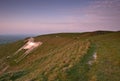 Westbury White Horse Royalty Free Stock Photo