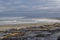 Westcoast Beach, NZ