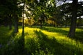 Westerbork Transit Camp Grounds (Netherlands) Royalty Free Stock Photo