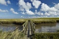 Westerhever (Germany) - Salt meadow with footbridge Royalty Free Stock Photo