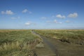 Westerhever (Germany) - Salt meadows with ditch Royalty Free Stock Photo